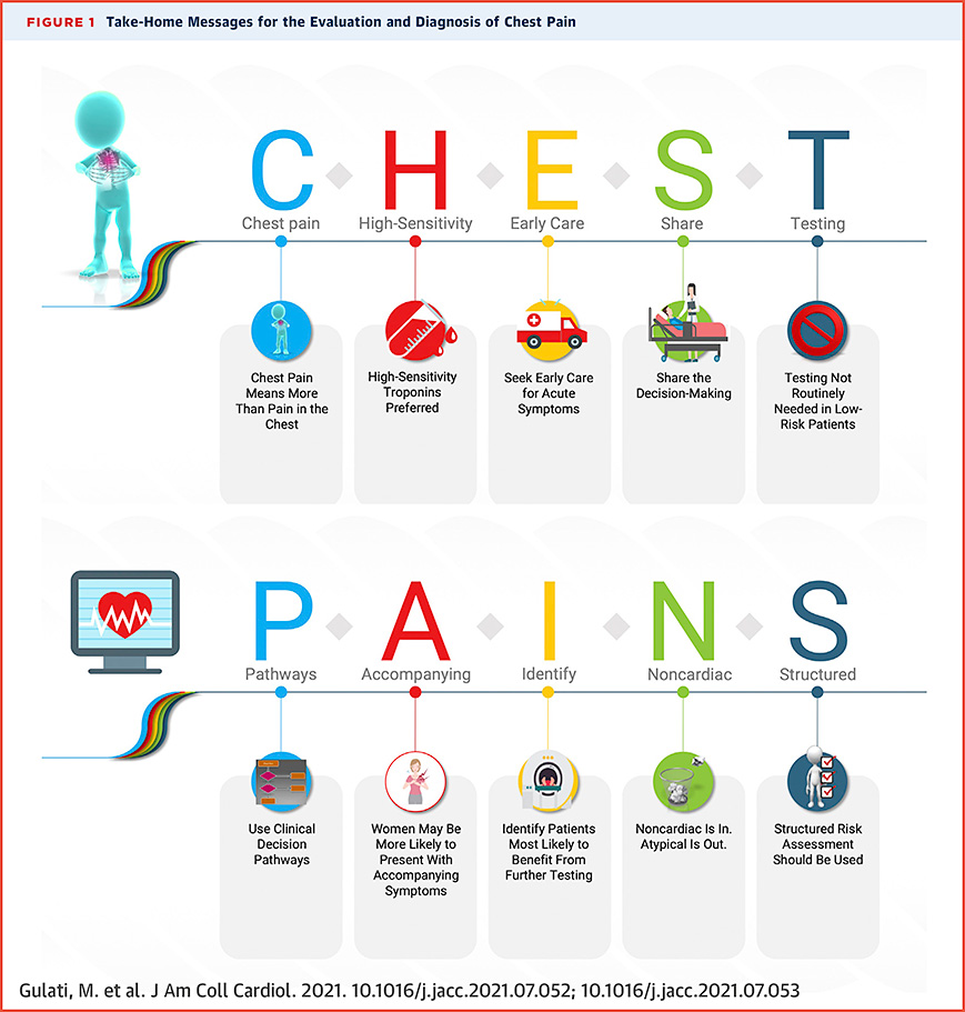 Chest Chart