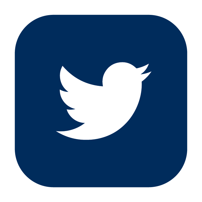 twitter icon