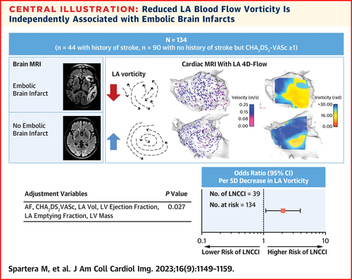 Reduced Left Atrial Rotational Flow Is Independently Associated With Embolic Brain Infarcts