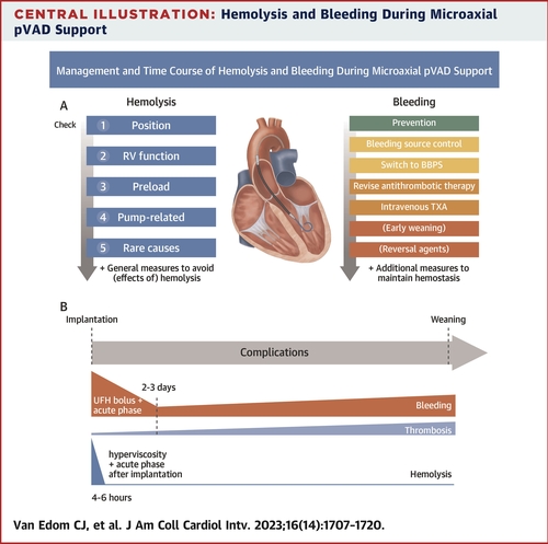 
Management of Bleeding and Hemolysis During Percutaneous Microaxial Flow Pump Support: A Practical Approach