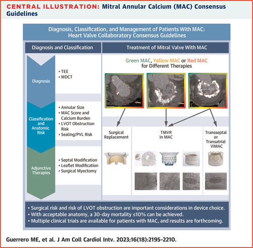 Diagnosis, Classification, and Management Strategies for Mitral Annular Calcification