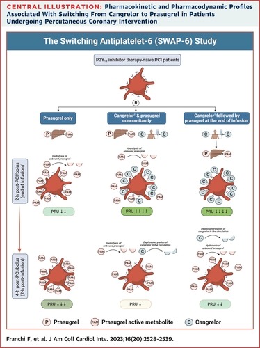 Switching From Cangrelor to Prasugrel in Patients Undergoing Percutaneous Coronary Intervention: The Switching Antiplatelet-6 (SWAP-6) Study