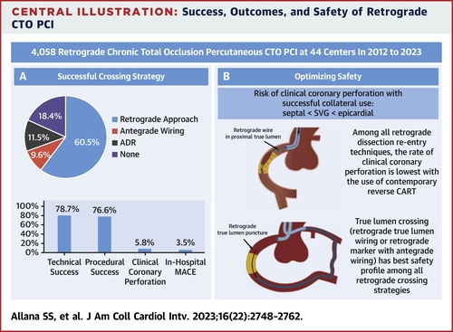 The Retrograde Approach to Chronic Total Occlusion Percutaneous Coronary Interventions: Technical Analysis and Procedural Outcomes