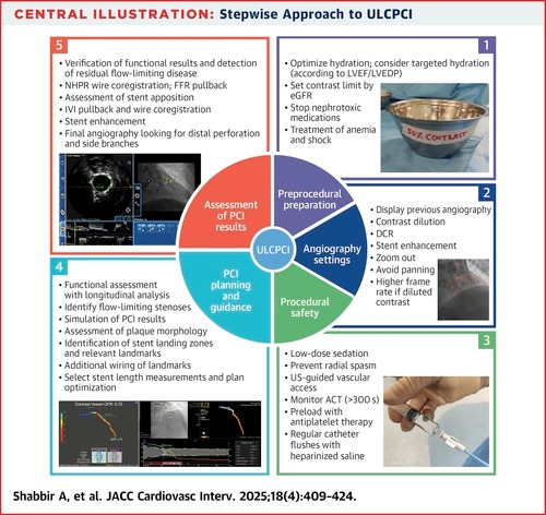 Ultra-Low-Contrast PCI: A Structured Approach to Reducing Dependence on Contrast Vessel Opacification in PCI
