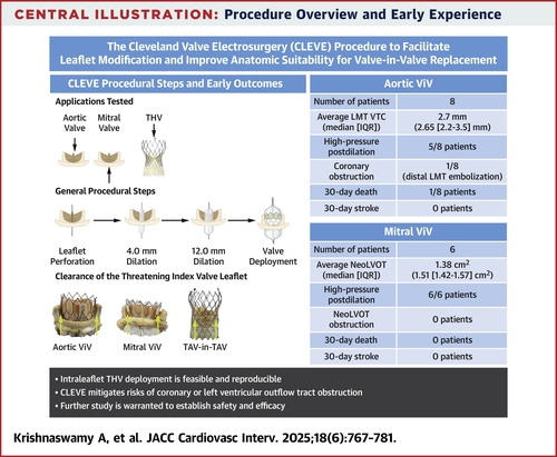 Initial Experience and Bench Validation of the CLEVE Prosthetic Leaflet Modification Procedure During Aortic and Mitral Valve-in-Valve Procedures