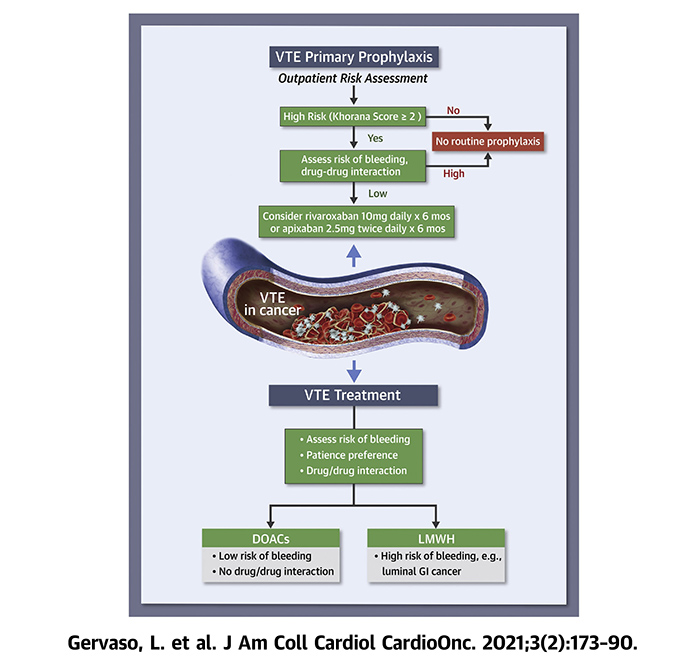 Venous And Arterial Thromboembolism In Patients With Cancer: Jacc:  Cardiooncology State-Of-The-Art Review | Jacc: Cardiooncology